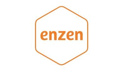 Enzen Group – Web Development Project