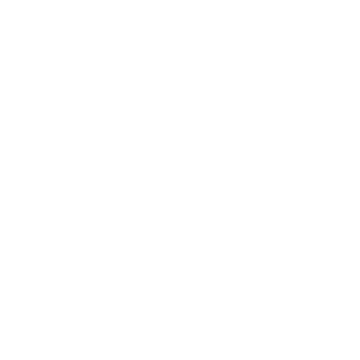 Ethnography-Icon-2021